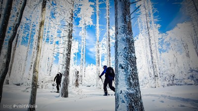 Wisła to idealne miejsce na skitury. foto: forszty.pl